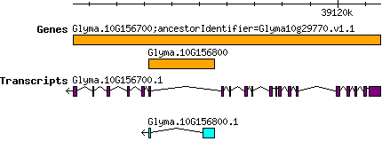 Glyma.10G156800.png