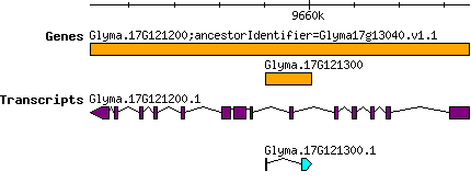 Glyma.17G121300.png