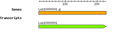 Lus10000001.g.png
