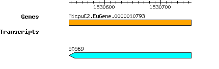 MpusillaCCMP1545_MicpuC2.EuGene.0000010793.png