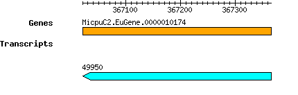 MpusillaCCMP1545_MicpuC2.EuGene.0000010174.png