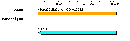 MpusillaCCMP1545_MicpuC2.EuGene.0000010242.png