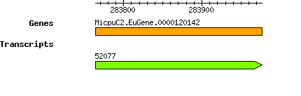 MpusillaCCMP1545_MicpuC2.EuGene.0000120142.png