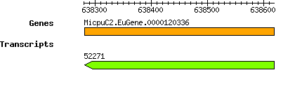 MpusillaCCMP1545_MicpuC2.EuGene.0000120336.png