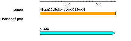 MpusillaCCMP1545_MicpuC2.EuGene.0000130001.png