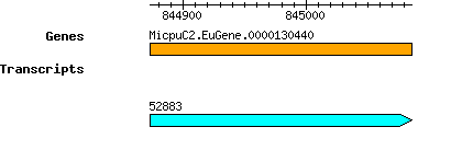 MpusillaCCMP1545_MicpuC2.EuGene.0000130440.png