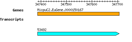 MpusillaCCMP1545_MicpuC2.EuGene.0000150167.png