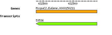 MpusillaCCMP1545_MicpuC2.EuGene.0000150211.png