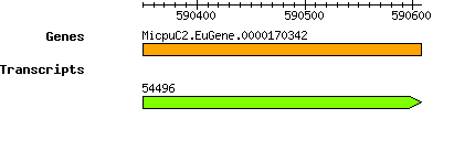 MpusillaCCMP1545_MicpuC2.EuGene.0000170342.png
