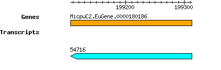 MpusillaCCMP1545_MicpuC2.EuGene.0000180186.png