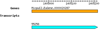 MpusillaCCMP1545_MicpuC2.EuGene.0000020287.png