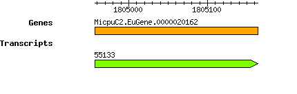 MpusillaCCMP1545_MicpuC2.EuGene.0000020162.png