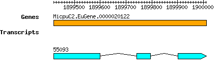 MpusillaCCMP1545_MicpuC2.EuGene.0000020122.png