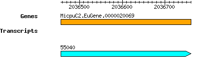 MpusillaCCMP1545_MicpuC2.EuGene.0000020069.png