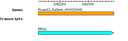 MpusillaCCMP1545_MicpuC2.EuGene.0000020041.png