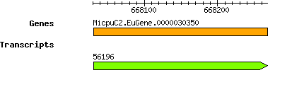 MpusillaCCMP1545_MicpuC2.EuGene.0000030350.png