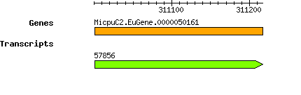 MpusillaCCMP1545_MicpuC2.EuGene.0000050161.png