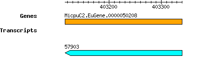 MpusillaCCMP1545_MicpuC2.EuGene.0000050208.png