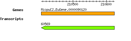MpusillaCCMP1545_MicpuC2.EuGene.0000090120.png