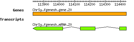 ChrSy.fgenesh.gene.20.png