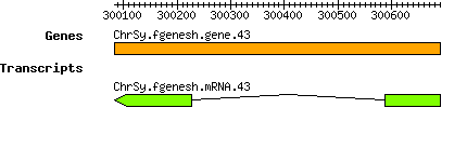 ChrSy.fgenesh.gene.43.png