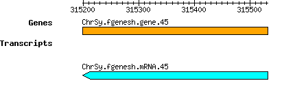 ChrSy.fgenesh.gene.45.png