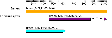 Traes_6BS_F80636902.png