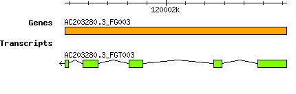 AC203280.3_FG003.png