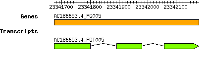 AC186653.4_FG005.png