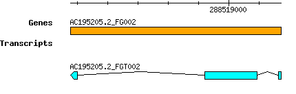 AC195205.2_FG002.png