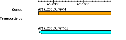 AC191256.3_FG001.png