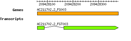 AC211702.2_FG003.png