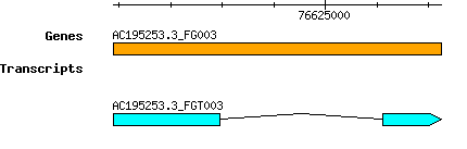 AC195253.3_FG003.png