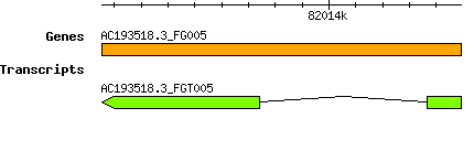 AC193518.3_FG005.png