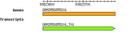 GRMZM5G855201.png