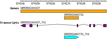 GRMZM2G482732.png