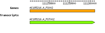 AC185216.4_FG002.png