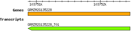 GRMZM2G135228.png