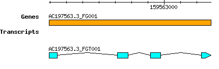 AC197563.3_FG001.png