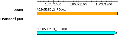AC205365.3_FG001.png