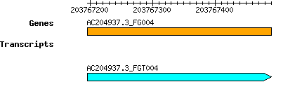 AC204937.3_FG004.png