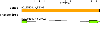 AC195458.3_FG002.png