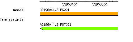 AC196044.2_FG001.png