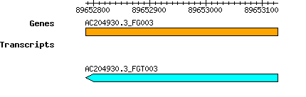 AC204930.3_FG003.png