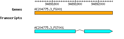 AC204775.3_FG001.png