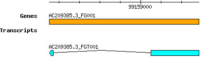 AC209385.3_FG001.png