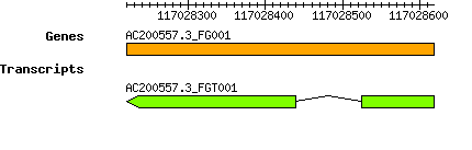 AC200557.3_FG001.png