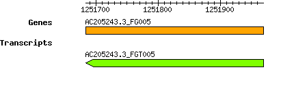 AC205243.3_FG005.png