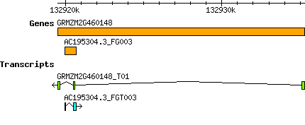 AC195304.3_FG003.png