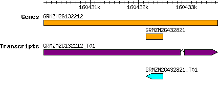GRMZM2G432821.png